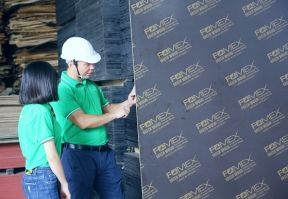 wood cutting hanoi FOMEX Group