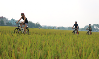 bicycle tours hanoi Bicycle tours hanoi