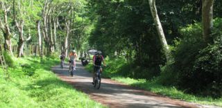 first campsites hanoi Cuc Phuong National Park