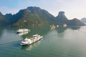 boat tours by hanoi Mon Chéri Cruises Head Office