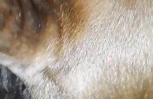 Phim khiêu dâm thú tính đồng tính để giải trí cho tất cả các bạn